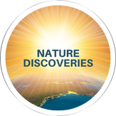 NATURE DISCOVERIES